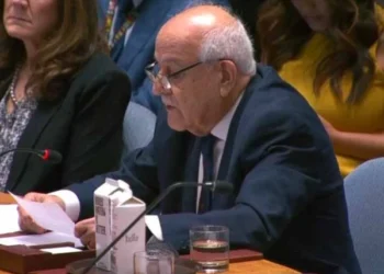 Palestinian Delegate to UN: Sympathy is Not Enough — The World Must Act to Stop Israeli Atrocities