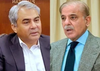 Prime Minister and PCB Chairman Applaud Pakistan’s T20 Series Victory Against West Indies