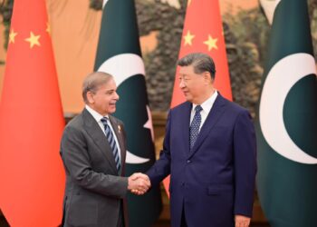 The Prime Minister of Pakistan meets with the President of China.