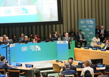 PM Shehbaz calls on world to honour climate pledges, says loans are not solution