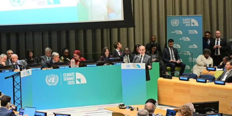 PM Shehbaz calls on world to honour climate pledges, says loans are not solution