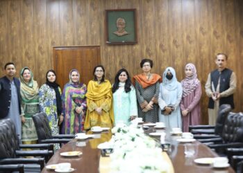 STEM Faculty Development