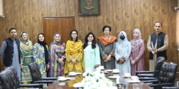 STEM Faculty Development