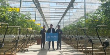 China’s greenhouse technology goes global, benefiting farmers worldwide