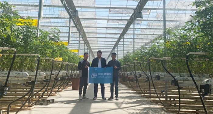 China’s greenhouse technology goes global, benefiting farmers worldwide