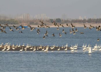 China makes steady progress in noise pollution control