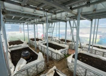 Professor helps high-altitude communities grow fresh vegetables year-round