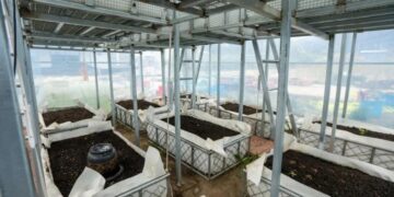 Professor helps high-altitude communities grow fresh vegetables year-round