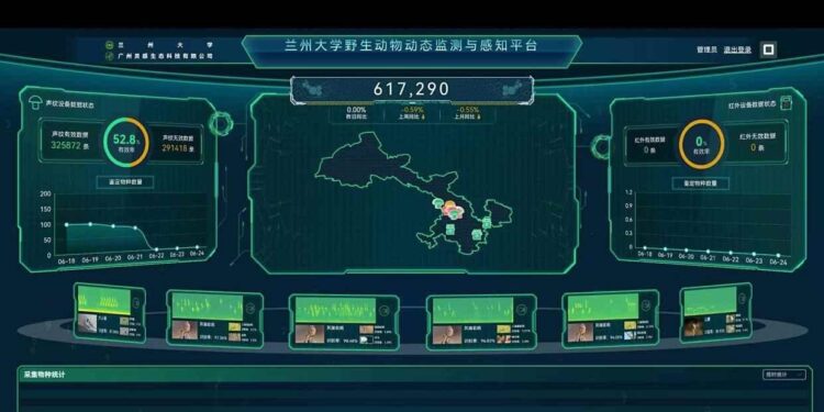 Lanzhou uses acoustic technology to monitor, protect birdlife