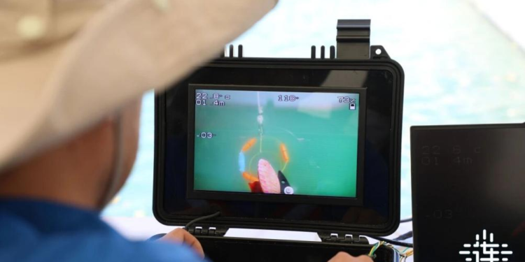 Underwater robots boost marine resource development in Dalian