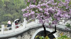 The Philippines cannot pursue contradictory paths