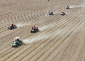 BeiDou navigation system powers China’s agricultural transformation