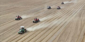 BeiDou navigation system powers China’s agricultural transformation