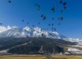 China’s ecological protection red line system strengthens ecosystem protection