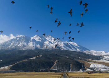 China’s ecological protection red line system strengthens ecosystem protection