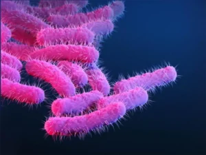 Experimental Shigella Vaccine Achieves 89% Protection in Mid-Stage Clinical Trial