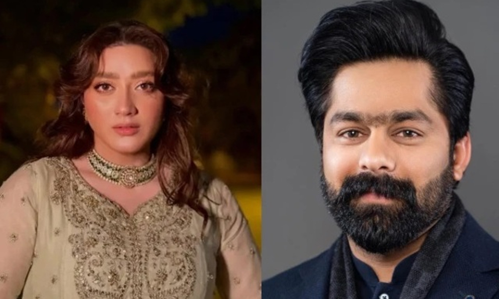 Momina Iqbal Harassment Case Investigation Finds MPA Saqib Chadhar at Fault, Court Extends Interim Bail