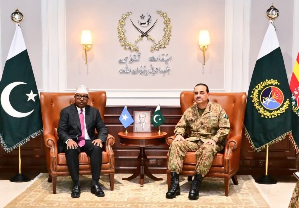 Pakistan, Somalia Strengthen Defence Ties in High-Level