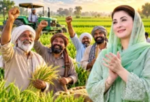 Maryam Nawaz announces interest-free loans and agricultural support measures for Punjab farmers
