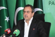 Pakistan May End 200-Unit Electricity Relief Limit, Says Leghari